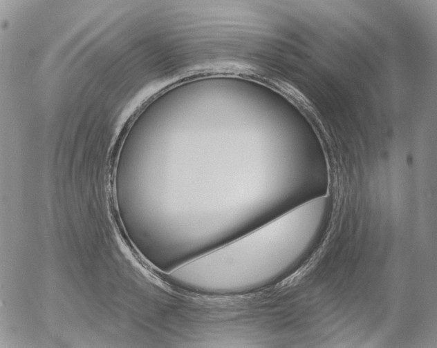 X0000054400989200507290827