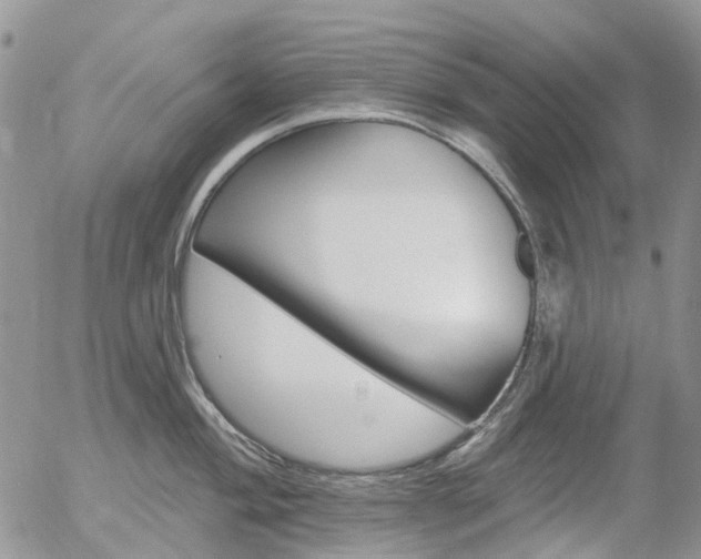 X0000054401004200507290827