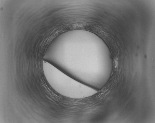 X0000054401011200507290826