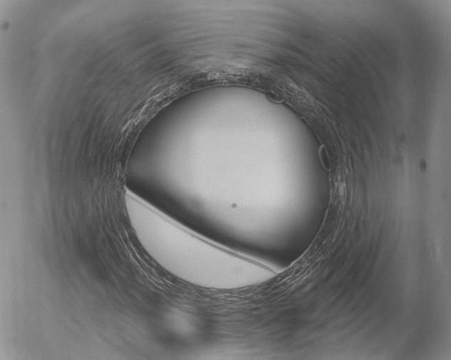 X0000054401012200507290826