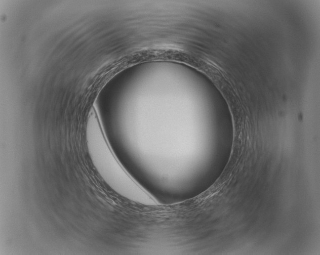 X0000054401014200507290826