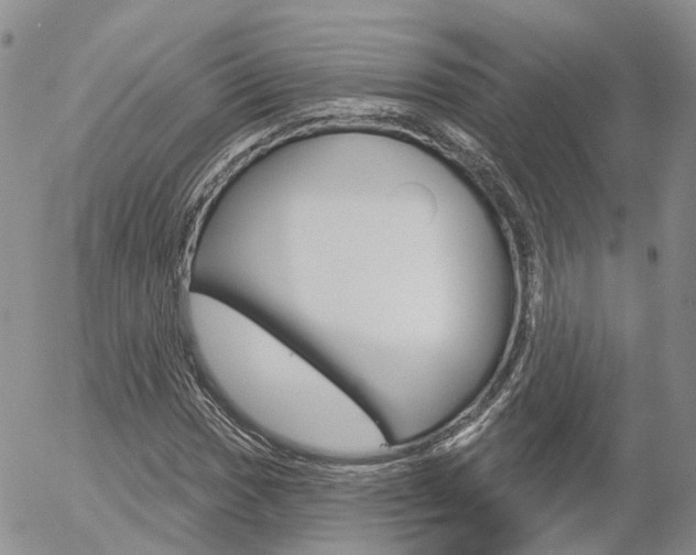 X0000054401017200507290826