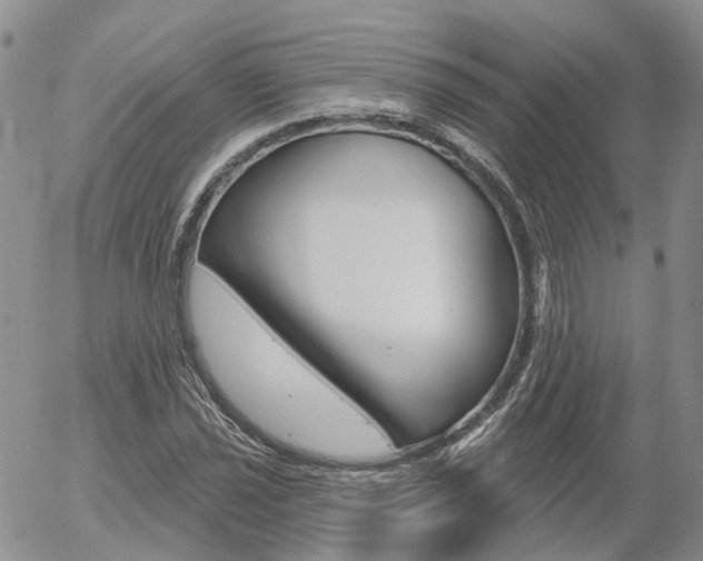 X0000054401021200507290826