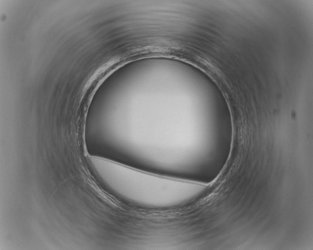 X0000054401026200507290826