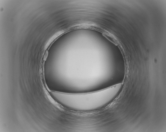 X0000054401042200507290826