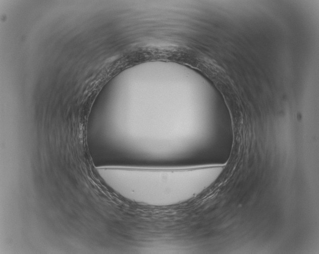 X0000054401061200507290826