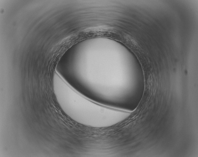 X0000054401062200507290826
