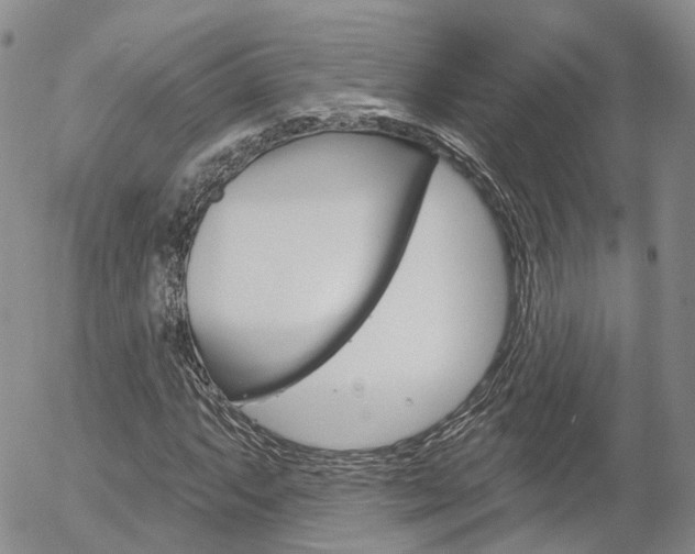 X0000054401063200507290826