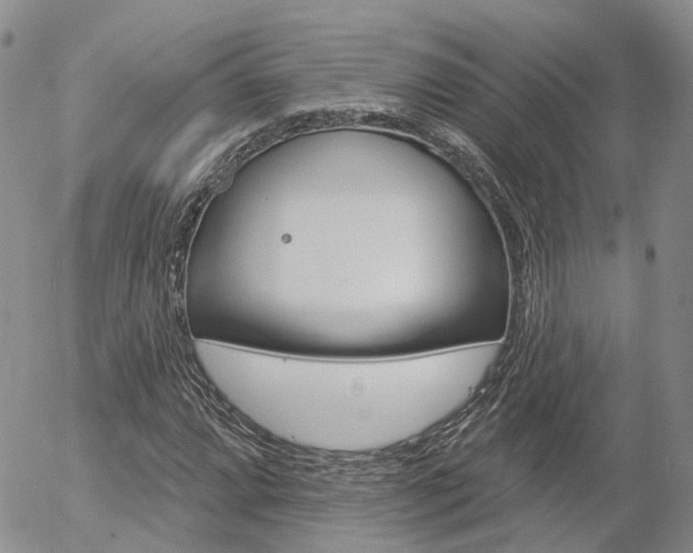 X0000054401064200507290826