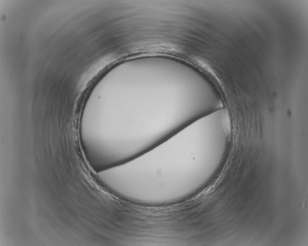 X0000054401071200507290826