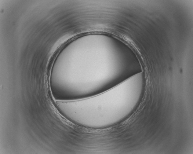 X0000054401072200507290826