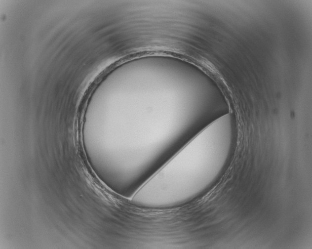 X0000054401076200507290825