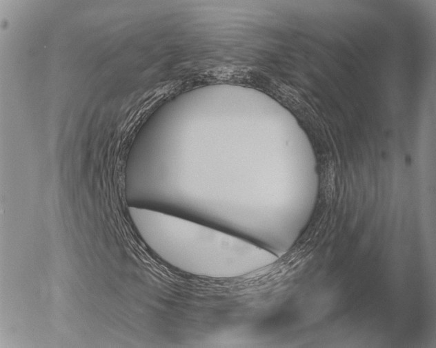 X0000054401105200507290824