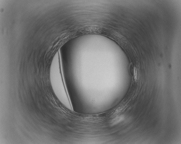X0000054401107200507290824