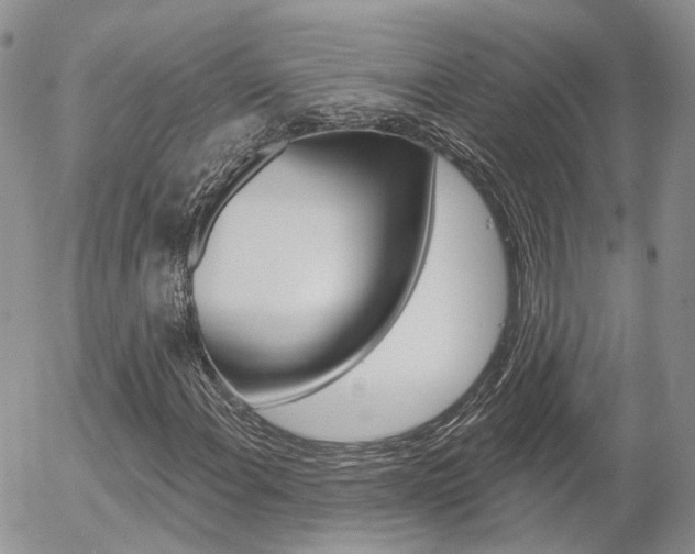 X0000054401108200507290824