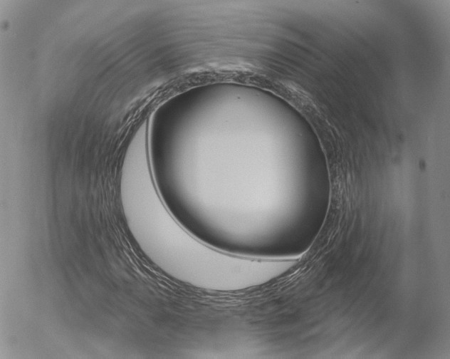 X0000054401110200507290824