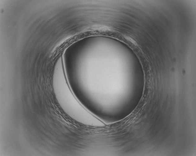X0000054401112200507290824