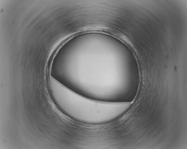 X0000054401124200507290825