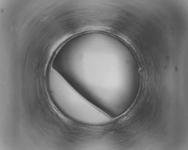 X0000054401127200507290825