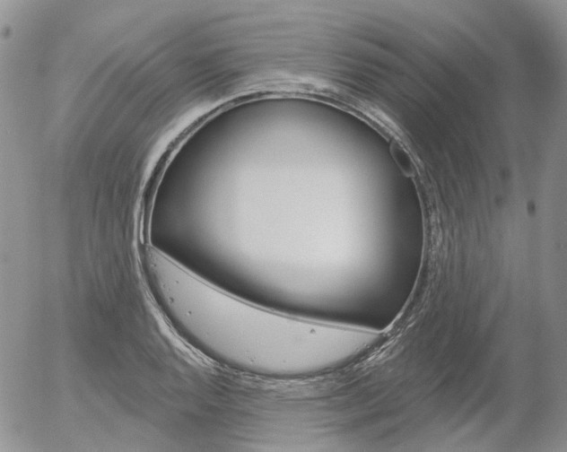 X0000054401128200507290825