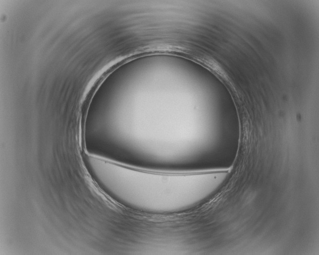 X0000054401132200507290825