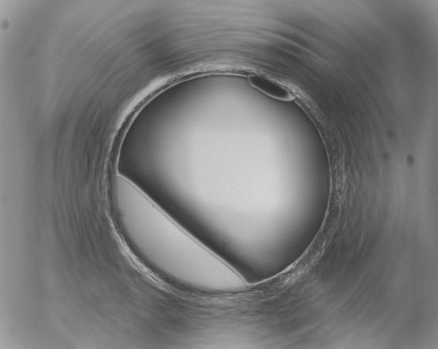 X0000054401134200507290825