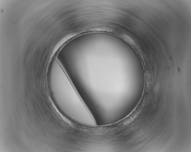 X0000054401141200507290825