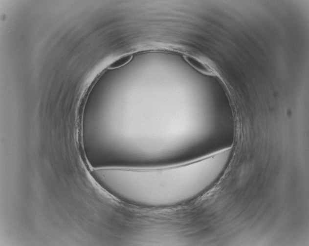 X0000054401143200507290825