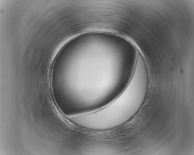 X0000054401148200507290825