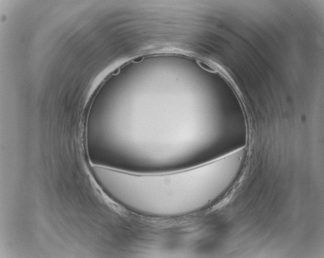 X0000054401149200507290825
