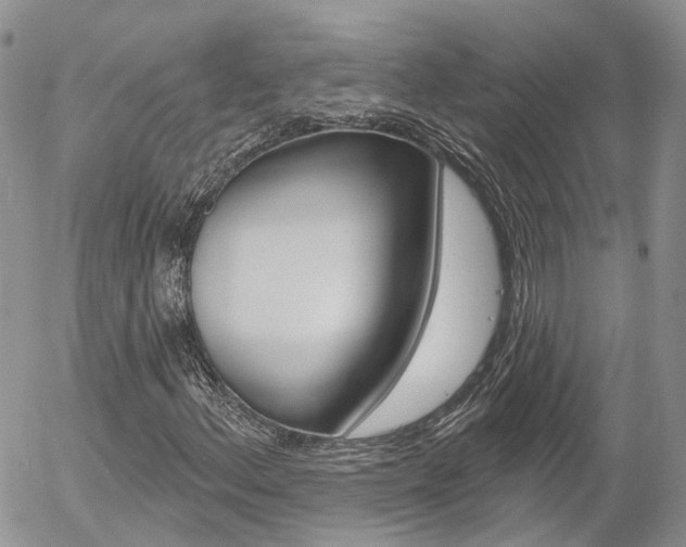 X0000054401156200507290824