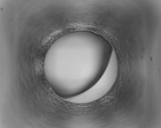 X0000054401157200507290824