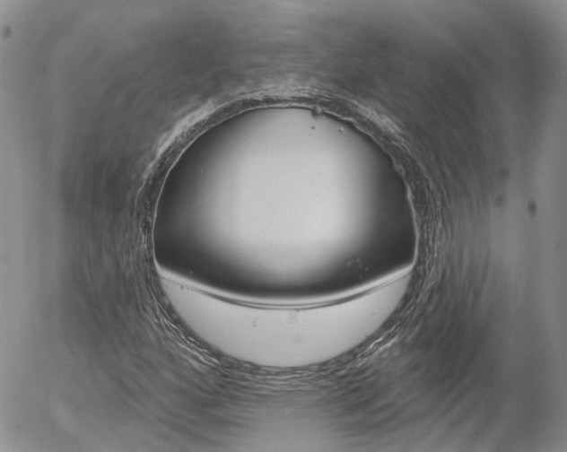 X0000054401160200507290824