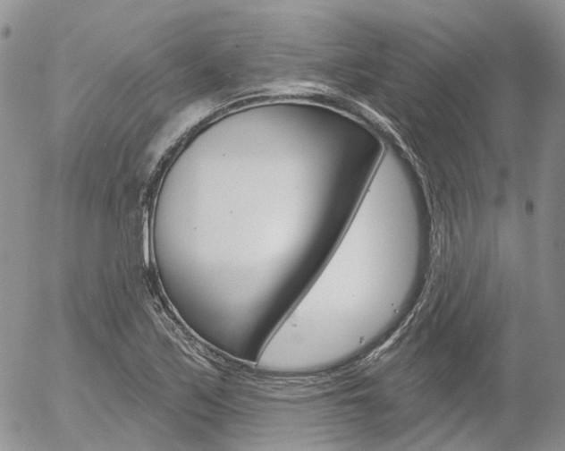 X0000054401171200507290824