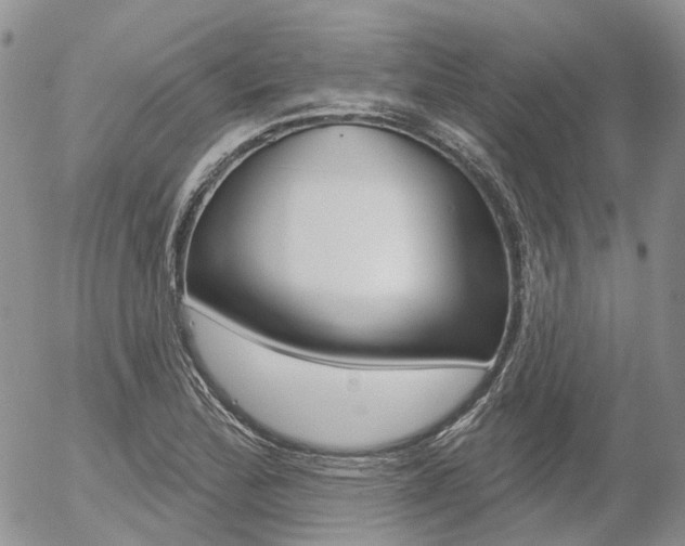 X0000054401172200507290824