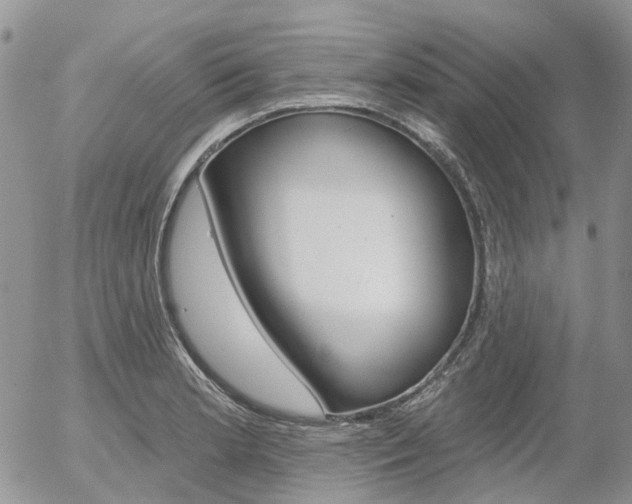 X0000054401181200507290824