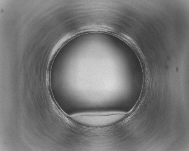 X0000054401188200507290824
