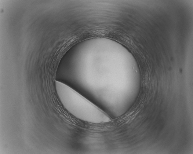 X0000054401201200507290823