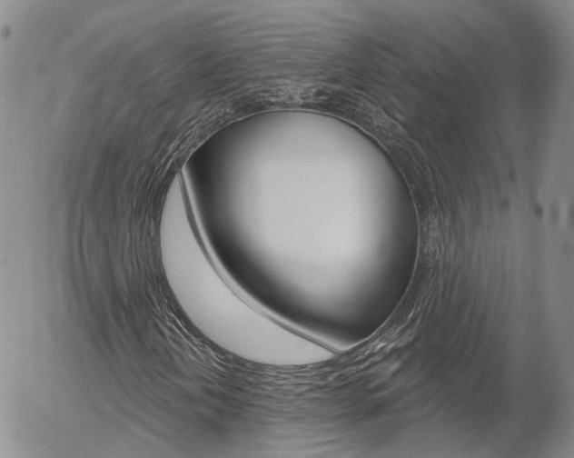 X0000054401202200507290823