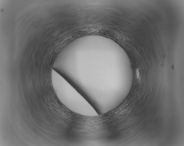 X0000054401203200507290823