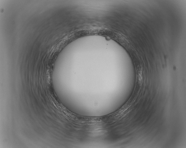 X0000054401204200507290823
