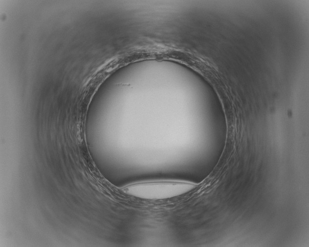 X0000054401205200507290823