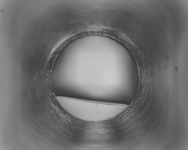 X0000054401208200507290823