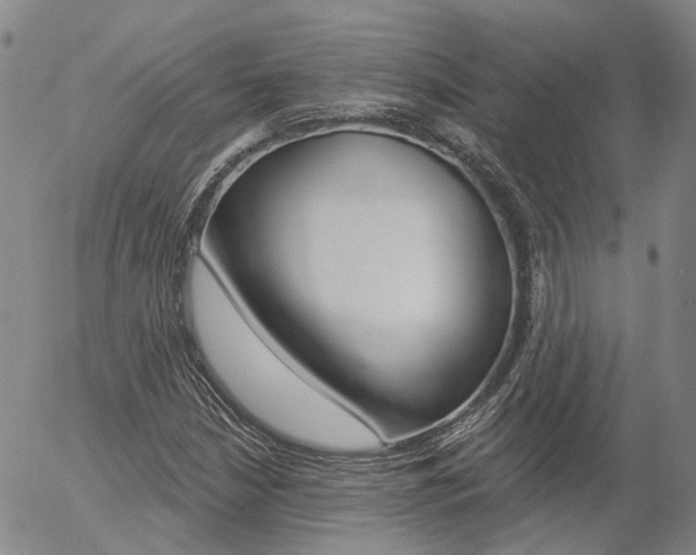 X0000054401210200507290823