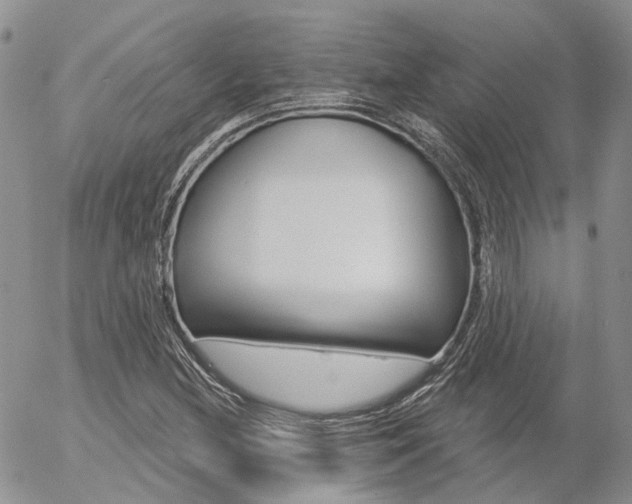 X0000054401212200507290823