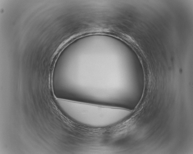 X0000054401220200507290823