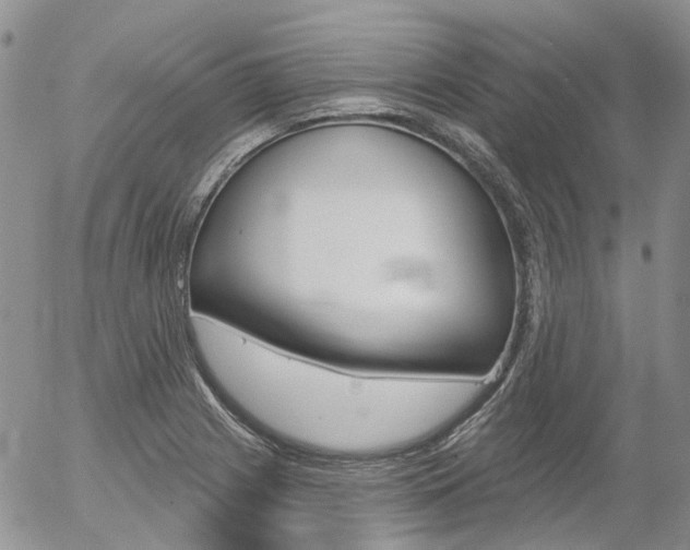 X0000054401225200507290823