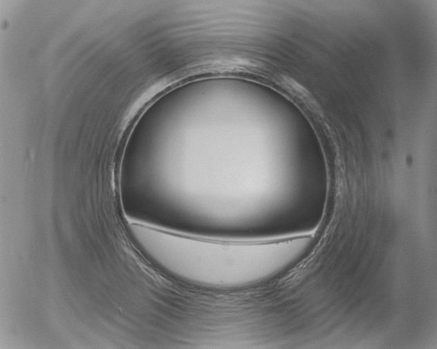 X0000054401226200507290823