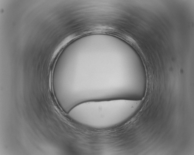 X0000054401227200507290823