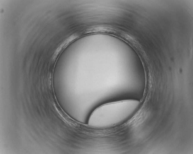 X0000054401233200507290823